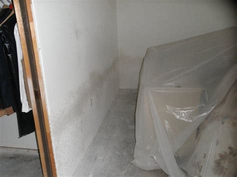 50 Removing Wallpaper From Drywall On Wallpapersafari