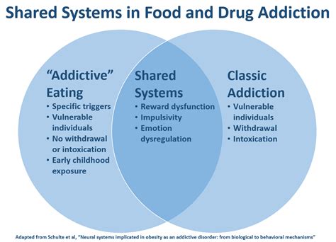 Contrasts Between Food Addiction And Drug Addiction Conscienhealth