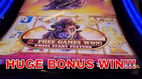 Buffalo Gold Slot Machinehuge Bonus Win Youtube