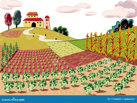 Agricultural Landscape Cultivated With Various Vegetables And C Stock