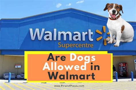 Are Dogs Allowed In Walmart Here Is What To Do