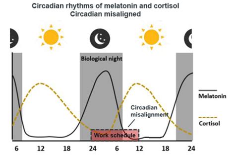 Circadian Misalignment Overview Night Fit Km Human Factors