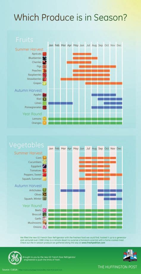 Your Guide To Food Seasonality Infographic When To Eat Fruit Eat