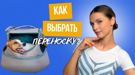 Как Выбрать Переноску Для Собаки? - YouTube