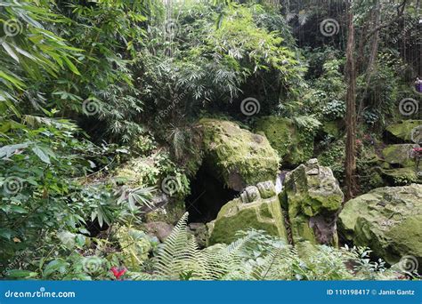 Entrance Of The Cave In Bali Indonesia In The Jungle Stock Image