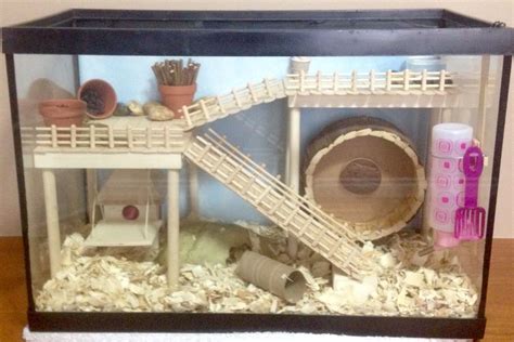 Sophie Littles Hamster Cage Diy Aquarium Conversion Hamster