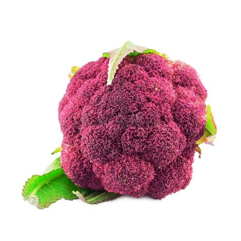 Purple Cauliflower Closeup Isolated On White Stock Photo Image Of