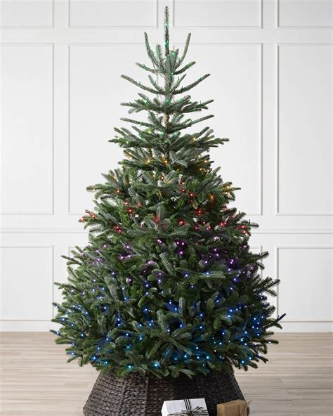 Bh Nordmann Fir® Artificial Christmas Tree Balsam Hill®