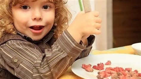 ¿cuál Es La Carne Que Mejor Comen Los Niños Carnicería De Madrid