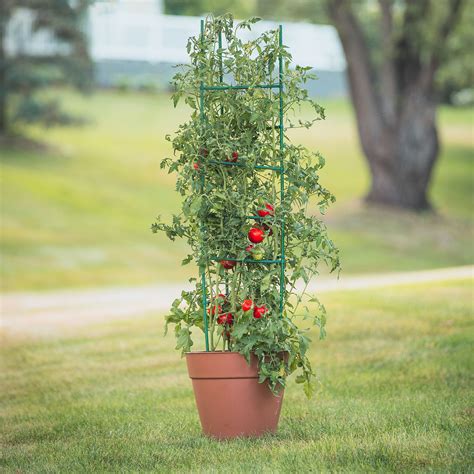 Gardner's Blue Ribbon Ultomato Tomato Plant Cage Green ...