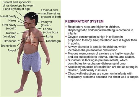 25 The Child With A Respiratory Disorder Nurse Key