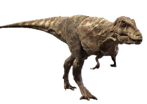 Tarbosaurus Dinosaur Wiki Fandom