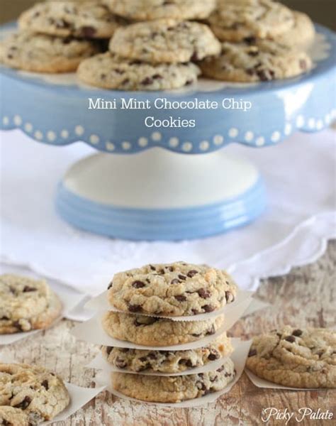 Learn how to make many cookies in celebration of national cookie day. Mini Mint Chocolate Chip Cookies | Easy Chocolate Chip Cookie Recipe
