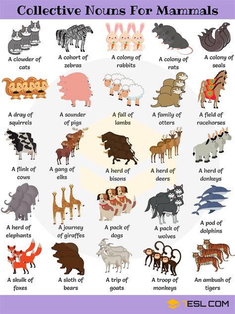 Best Collective Nouns For Animals Examples Golden Ways