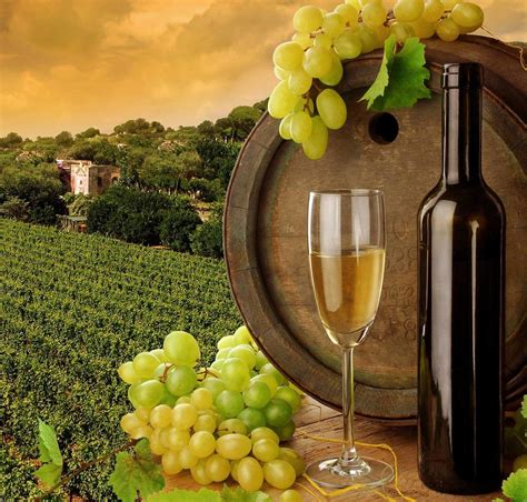 Tuscan Vineyard Wallpapers 4k Hd Tuscan Vineyard Backgrounds On