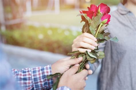 Premium Photo A Man Gives Red Roses To His Lover On Valentines Day