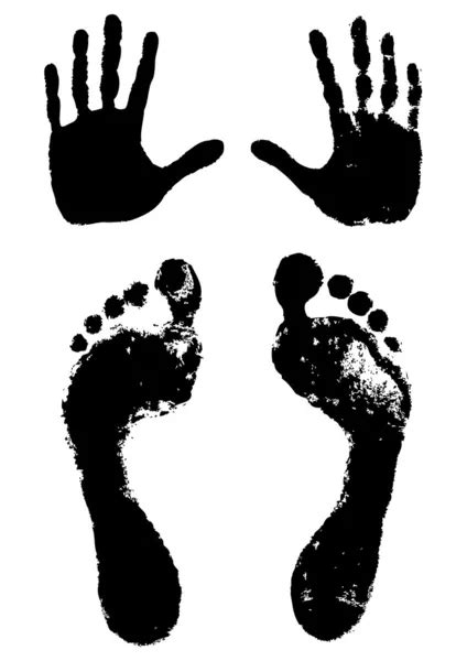 Hands And Feet Print — Stock Vector © Roxanabalint 4964007
