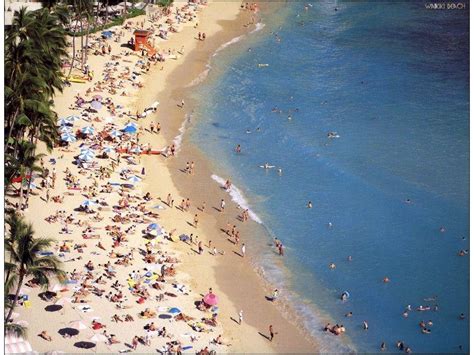 Waikiki Beach Background