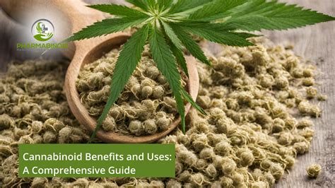 Cannabinoid Benefits And Uses Unveiling Their Potential For Health