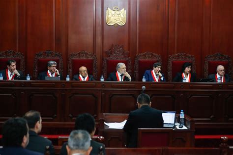 Definiciones En El Tribunal Constitucional Idl Instituto De Defensa