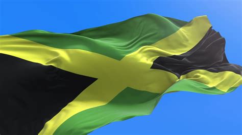 Jamaica Footage Stock Clips