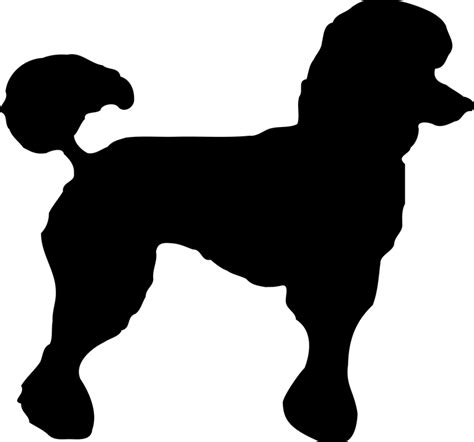 Poodle Dog Doggy Free Vector Graphic On Pixabay