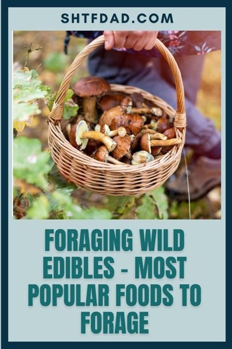 Foraging For Wild Edibles Like Mushrooms Flowers And Berries Is A