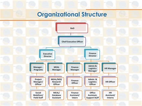 Organizational Structure Des Pakistan
