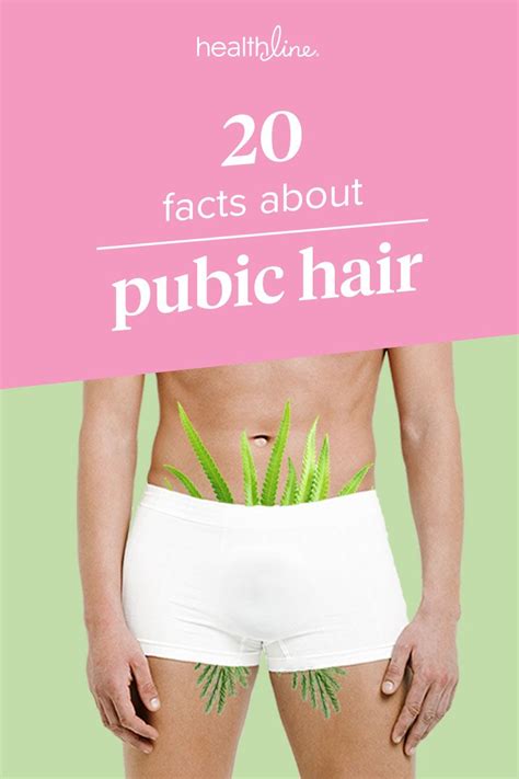 The Ultimate Guide Of The Best Way To Remove Pubic Hair For Males