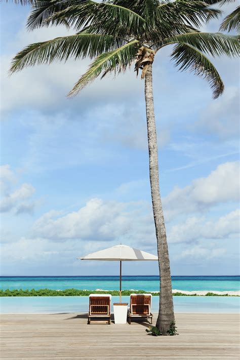 The Venue Report - (via What Happens When a Slice of Paradise Gets a...