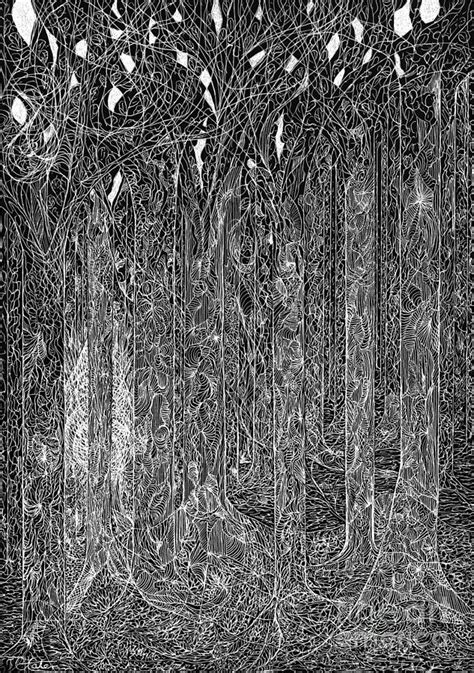 Forest Drawing Black And White At Explore