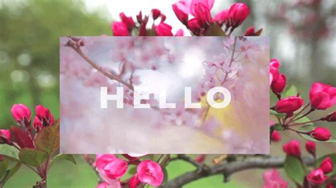 Spring Flowers S Find And Share On Giphy