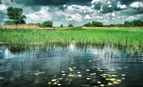 Beautiful Pond Landscape Stock Image Image Of Reflection 54441829