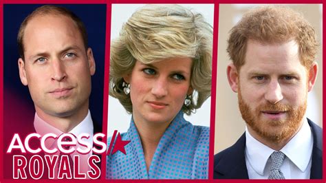 Prince William And Prince Harry React To Investigation Into Princess