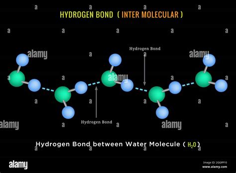 Enlace De Hidrógeno Enlace De Hidrógeno Intermolecular Entre Moléculas