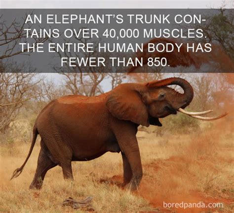 These Facts Will Make You Rethink Your Worldview 79 Pics