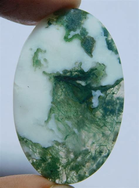 100 Natural Tree Agate Cabochon Amazing Tree Agate Loose Etsy
