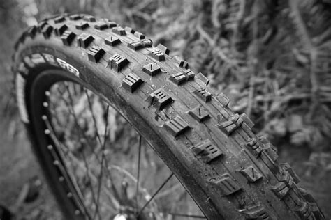 Now i'm in college and i can tell you it is definitely not 1. Maxxis Forekaster 2.6" Tire Review - Singletracks Mountain ...