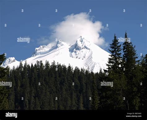 Oregon A View Of The Snow Capped And Icy Summit Of Mount Hood The