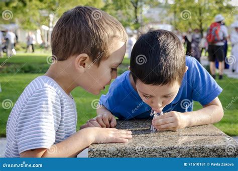 Children Drinking Water From Fountain Stock Image Image Of Child