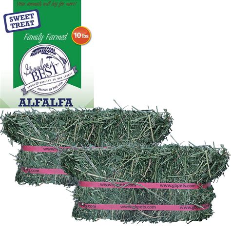 Grandpas Best Alfalfa Hay Mini Bale For Small Animals 10lb