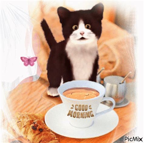Kitty Licking Tea Good Morning  Pictures Photos And Images For
