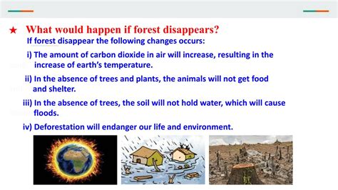 Ppt Chapter 17 Forests Our Lifeline Class 7th Ppt Powerpoint