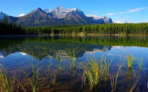 Nationalparks In Banff Kanada 2560x1600 Hd Hintergrundbilder Hd Bild