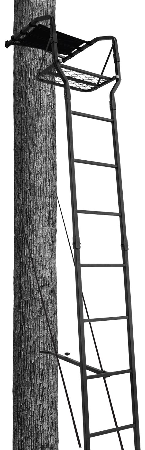 A Ladder Is Attached To The Side Of A Tree