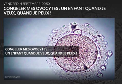 Association Collectif Bamp On Twitter Autoconservation Des Ovocytes