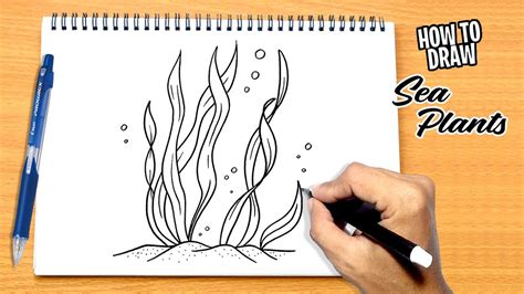 How To Draw Sea Plants Youtube