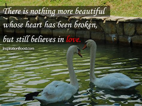 Love Swans Quotes Zupbt87ti5dr2m Youll Discover Beautiful Words By