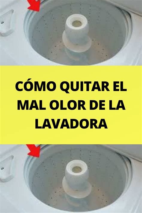 7 Maneras De Saber Como Quitar El Mal Olor De La Lavadora Artofit