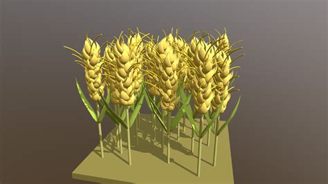 wheat 3d model by xmx [3f74ea5] sketchfab